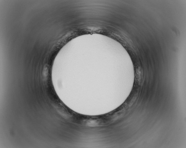 X0000112750412200910011158