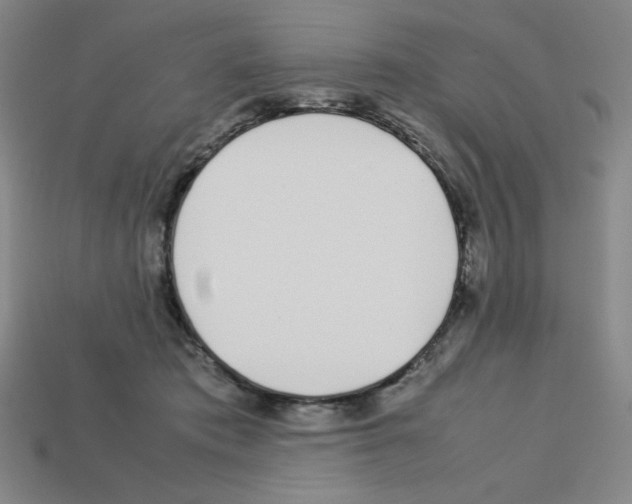 X0000112750413200910011158