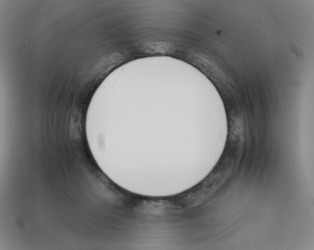 X0000112750414200910011158