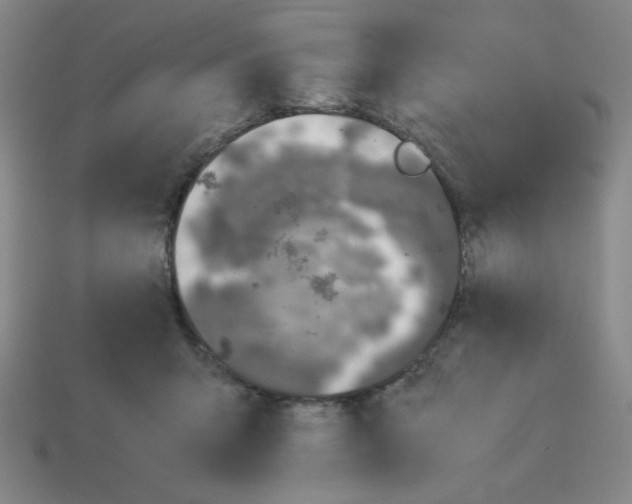 X0000112750415200910011158