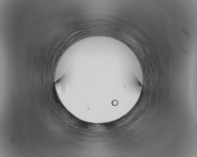 X0000112750421200910011158