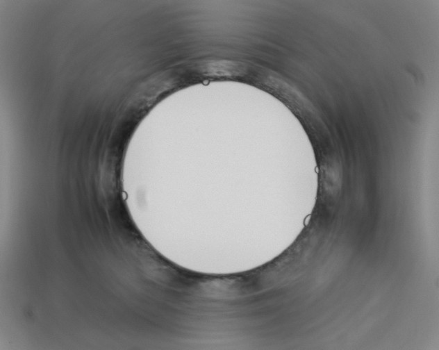 X0000112750422200910011158