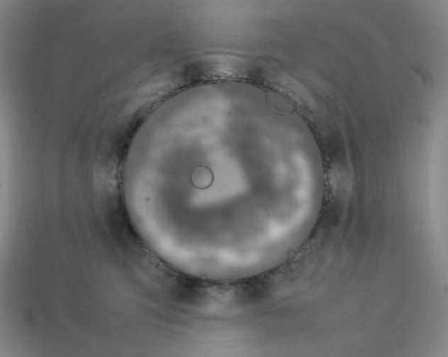 X0000112750423200910011158