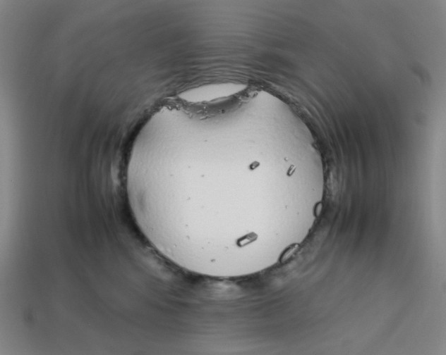 X0000112750424200910011158