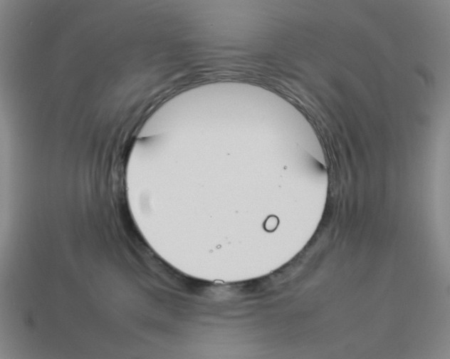 X0000112750425200910011158