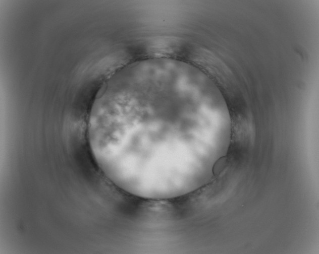 X0000112750427200910011158