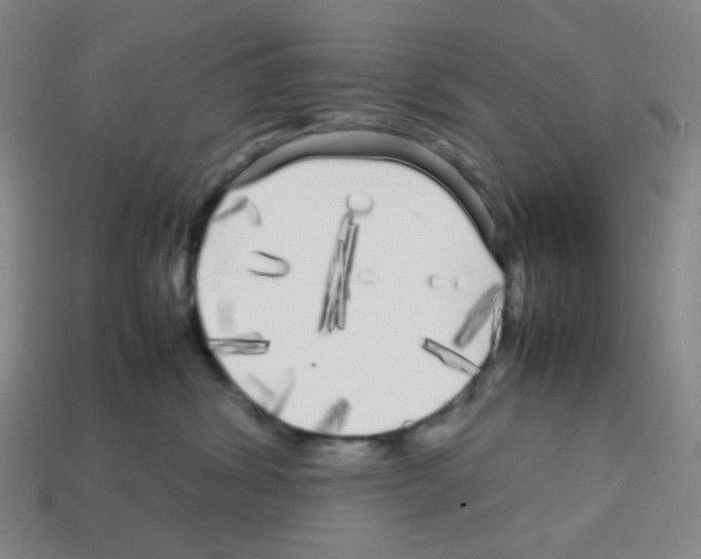 X0000112750428200910011158