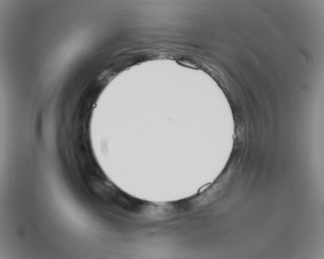 X0000112750429200910011158