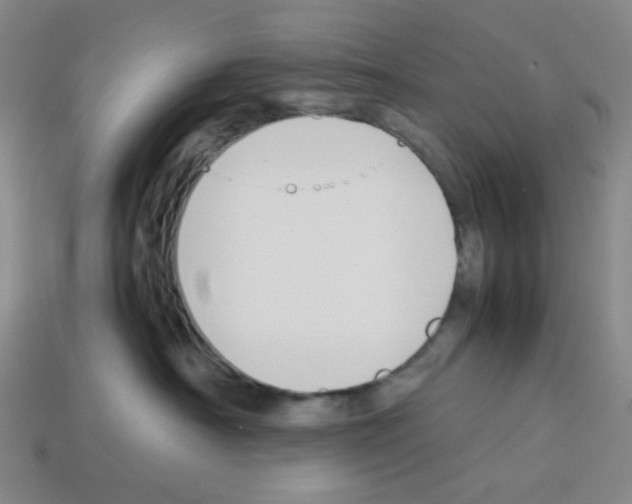 X0000112750430200910011158