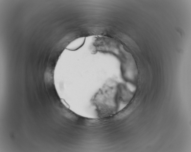 X0000112750432200910011158