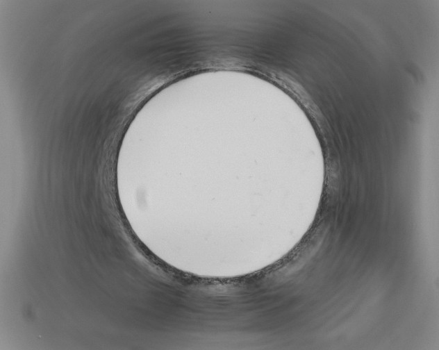 X0000112750433200910011157