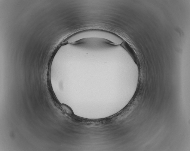 X0000112750434200910011157