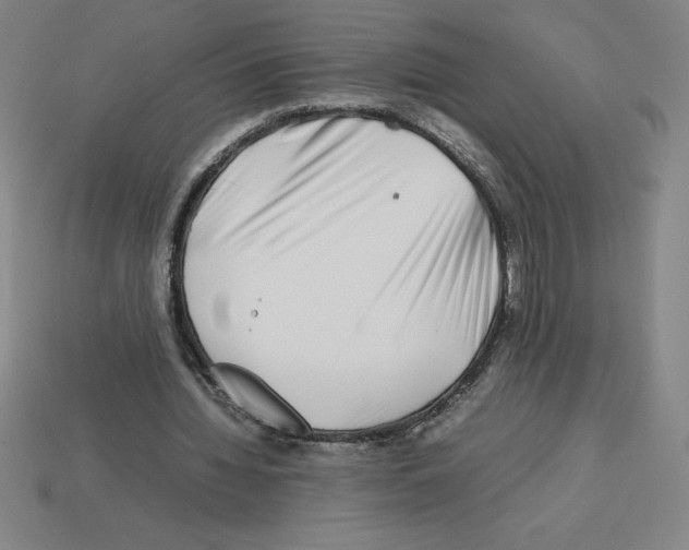 X0000112750436200910011157