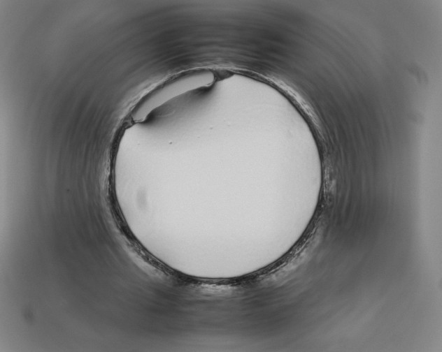 X0000112750437200910011157