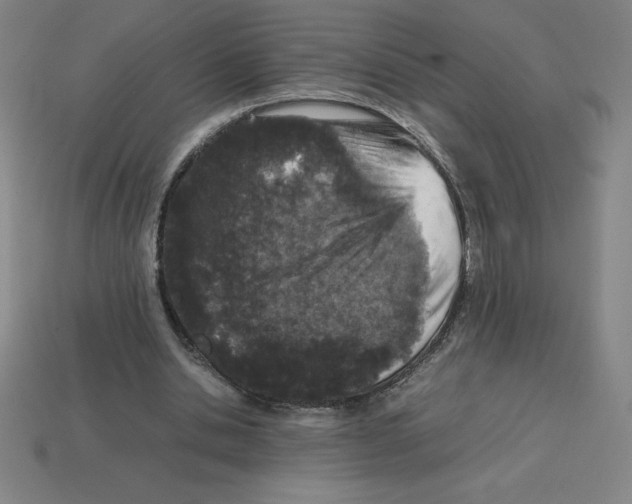 X0000112750438200910011157