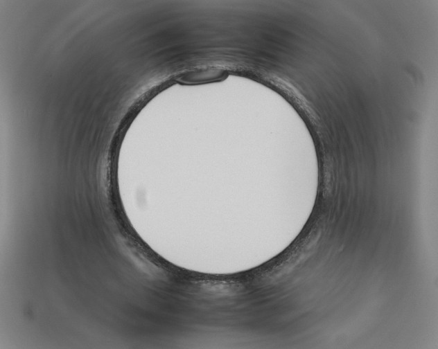 X0000112750439200910011157