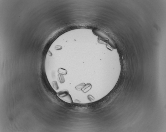 X0000112750440200910011157