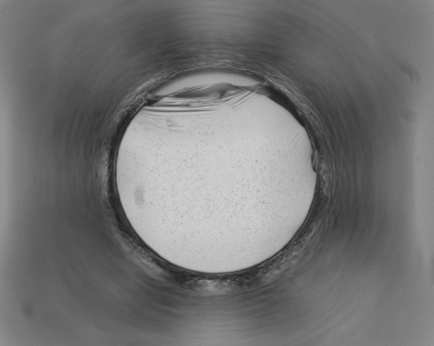 X0000112750442200910011158