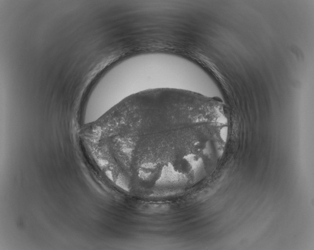 X0000112750443200910011158