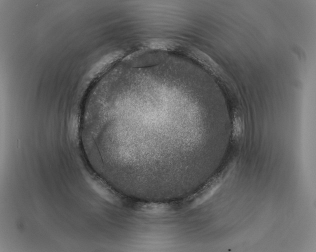 X0000112750444200910011158