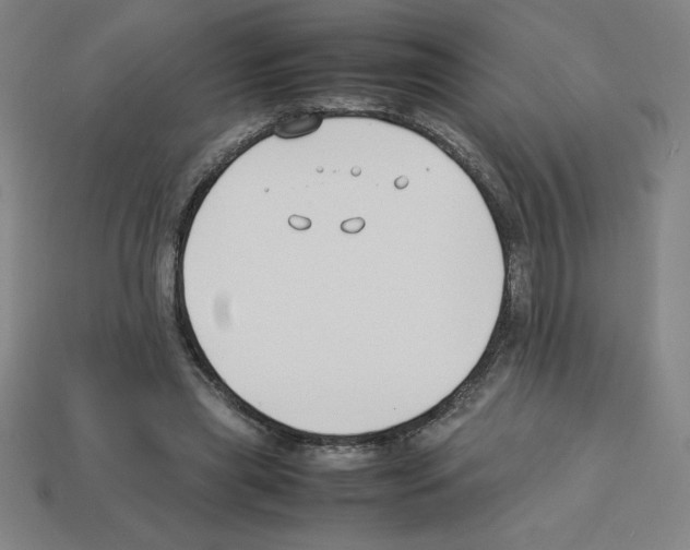 X0000112750445200910011158