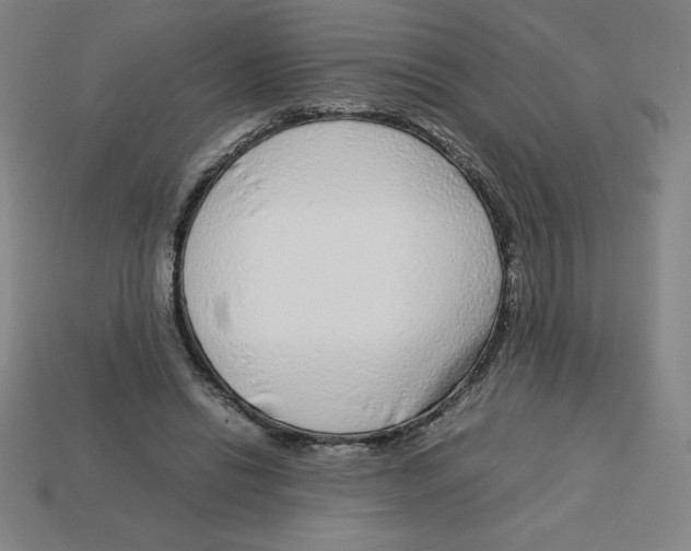 X0000112750446200910011158