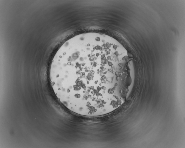 X0000112750447200910011158