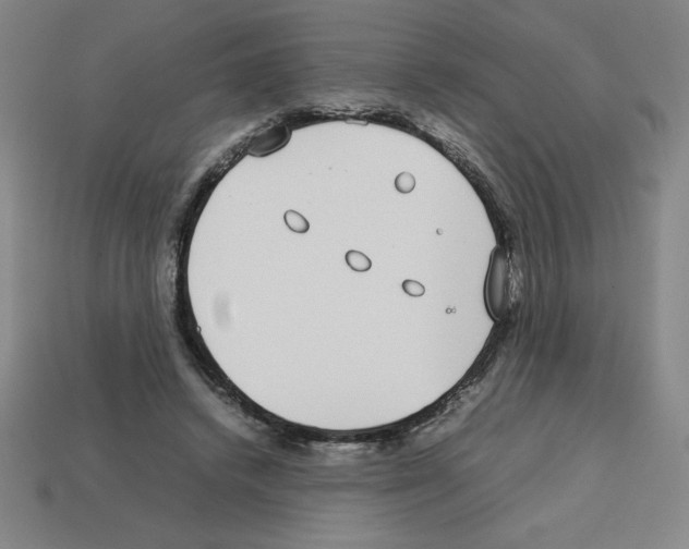 X0000112750448200910011158