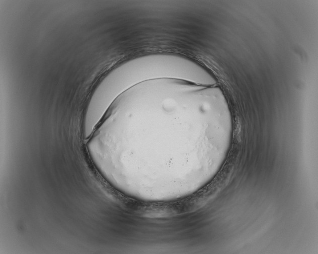 X0000112750449200910011158