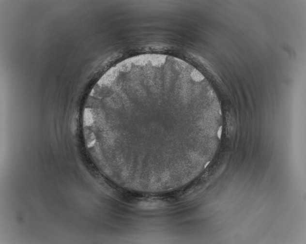 X0000112750451200910011158