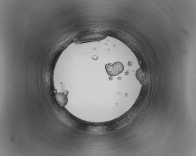 X0000112750452200910011158