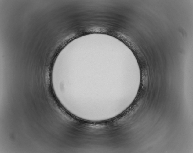 X0000112750453200910011158