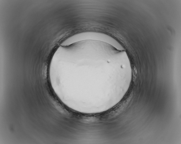 X0000112750454200910011158