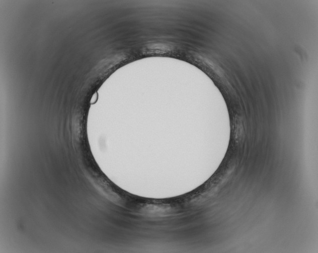 X0000112750455200910011158