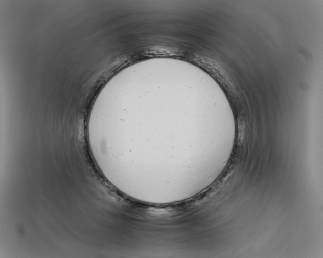 X0000112750457200910011158