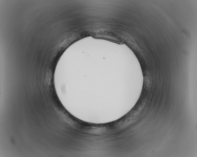 X0000112750458200910011158