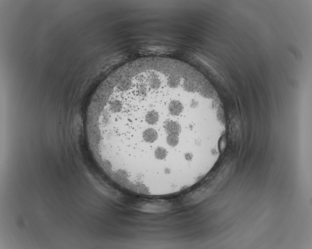 X0000112750459200910011158