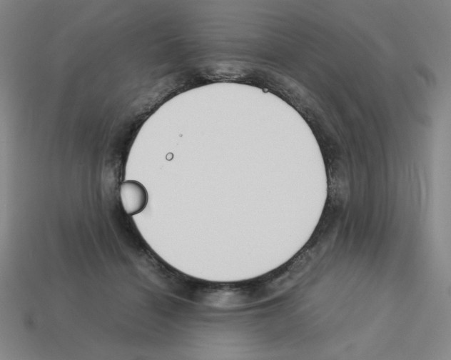 X0000112750460200910011158