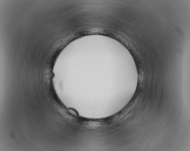 X0000112750462200910011158