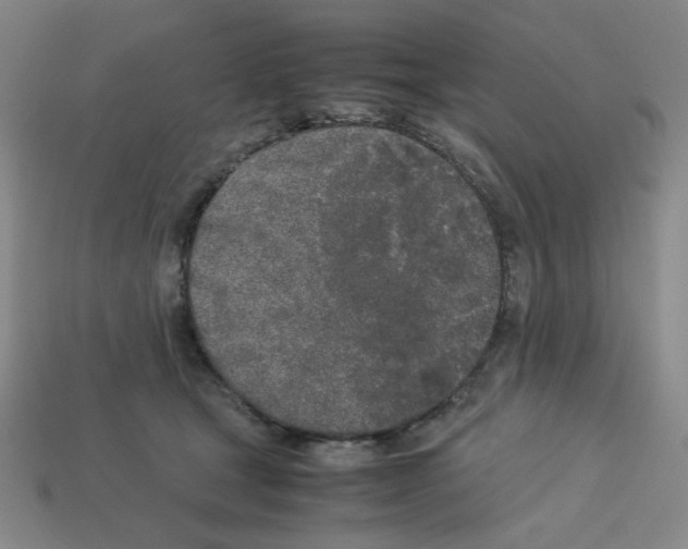 X0000112750465200910011158