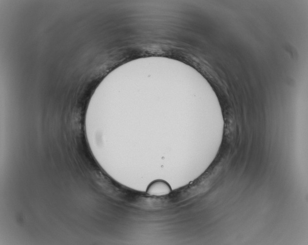 X0000112750466200910011158