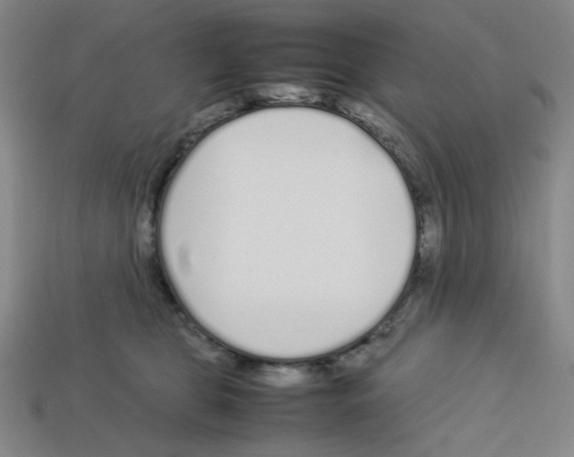 X0000112750469200910011158