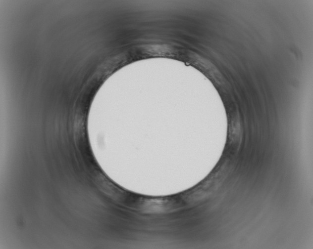 X0000112750473200910011158