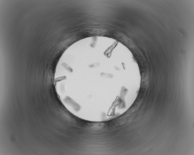 X0000112750474200910011158