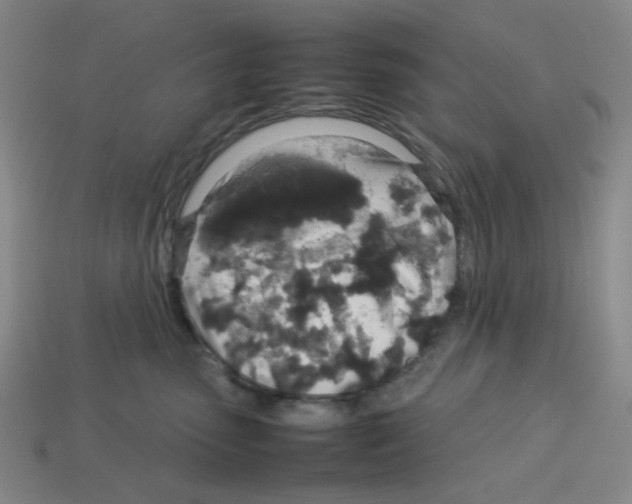 X0000112750475200910011158