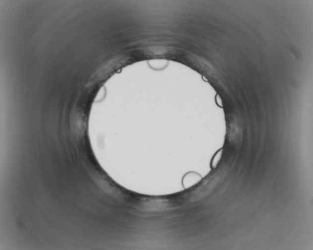 X0000112750476200910011158