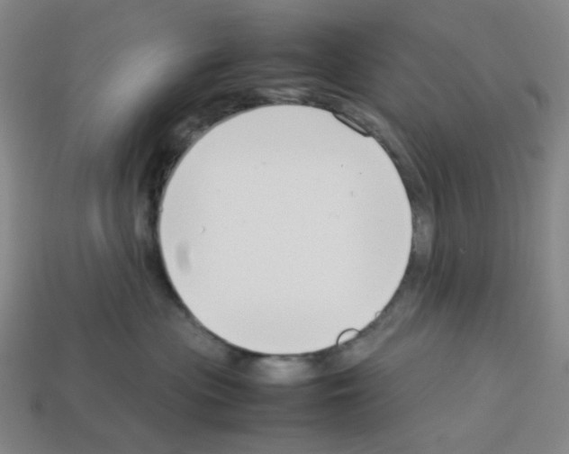 X0000112750477200910011158