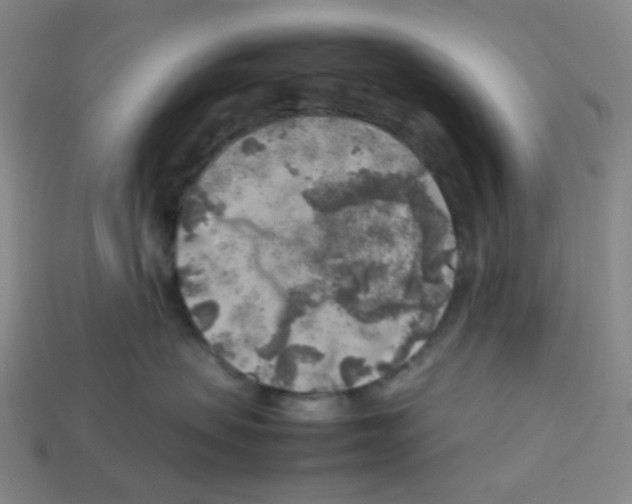 X0000112750479200910011158