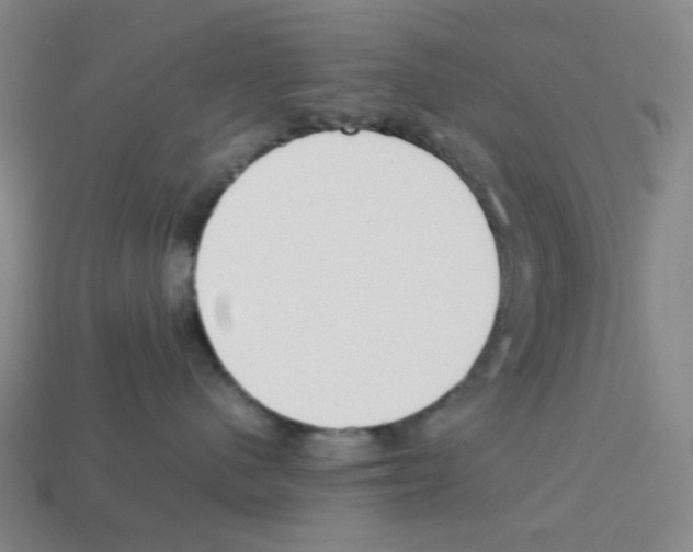 X0000112750480200910011158