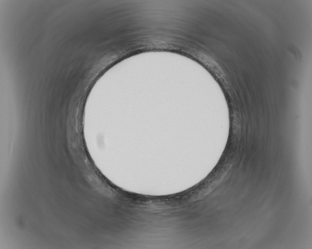 X0000112750481200910011157